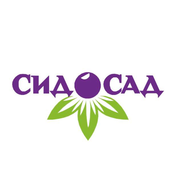 Сид Сад Сид Сад
