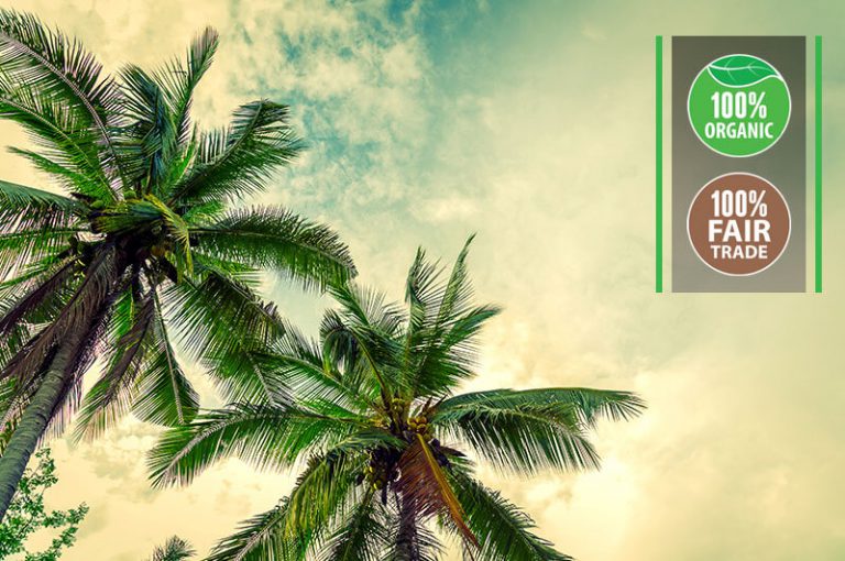 coconut-food-beverage-manufacturer-export-sri-lanka-about-img-1-768x510.jpg