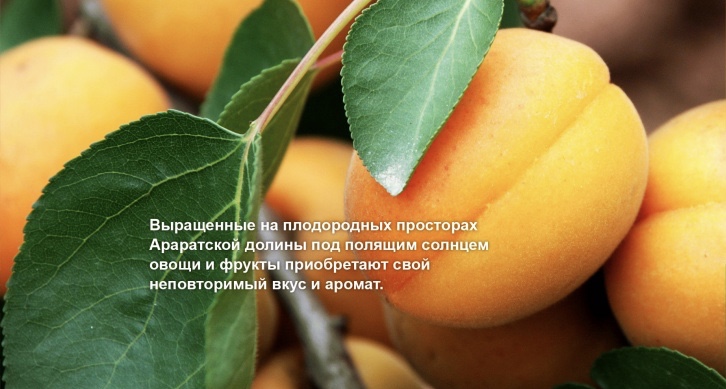 6c35fa87dde1921afb3e0c611631e6f5.jpg