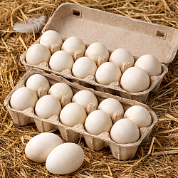 Яйцо диетическое мускусной утки
