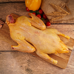 Утка тушка Рошаль